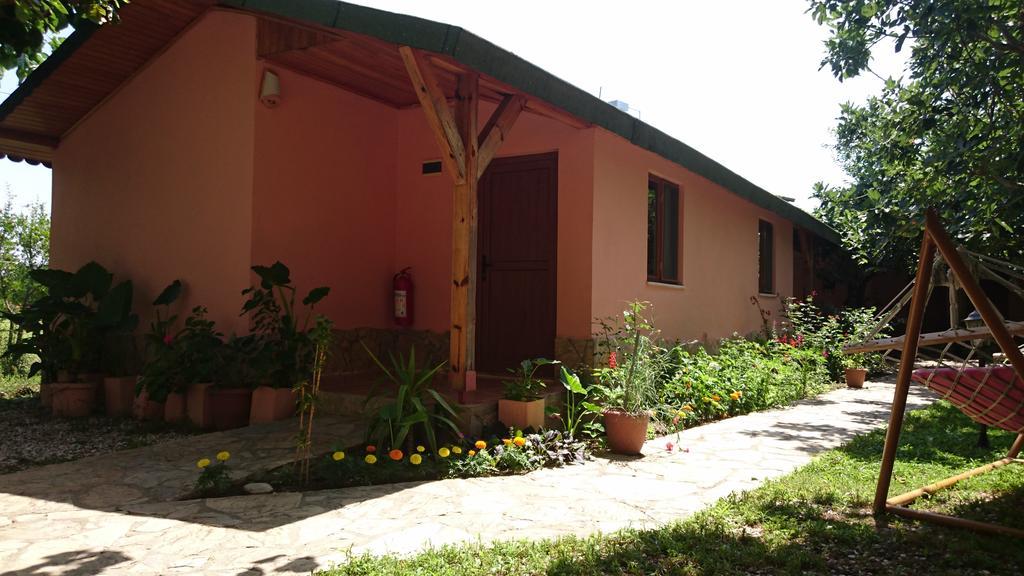 Sera Pansiyon Çıralı Extérieur photo